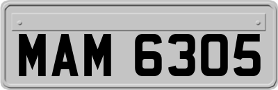 MAM6305