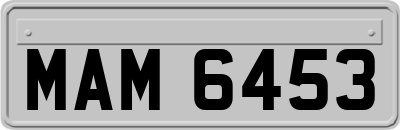 MAM6453