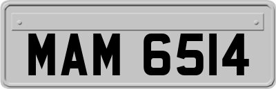 MAM6514