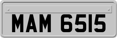 MAM6515