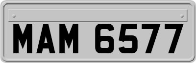 MAM6577