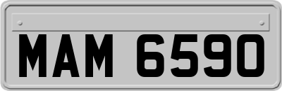 MAM6590
