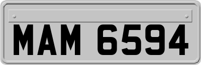 MAM6594