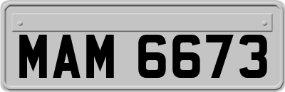 MAM6673