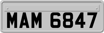 MAM6847