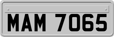 MAM7065