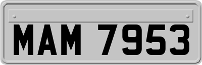 MAM7953