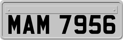 MAM7956