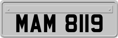 MAM8119