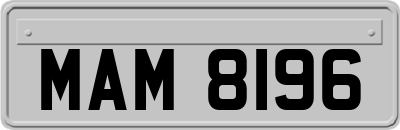 MAM8196