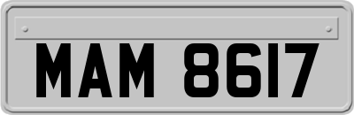 MAM8617