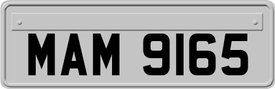MAM9165