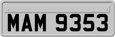 MAM9353
