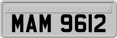 MAM9612