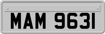 MAM9631