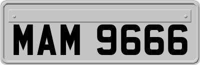 MAM9666