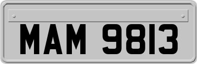 MAM9813