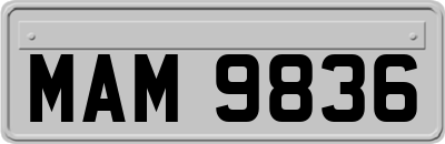MAM9836