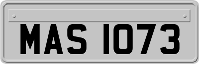 MAS1073