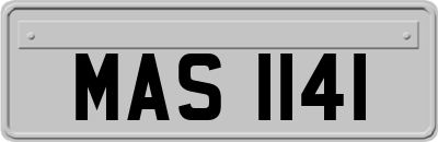 MAS1141