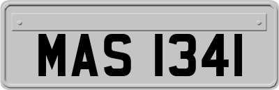 MAS1341
