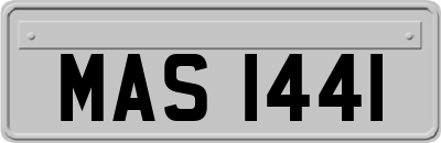 MAS1441