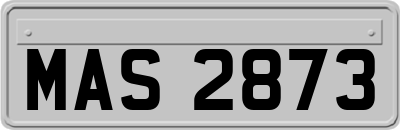 MAS2873