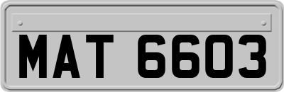 MAT6603