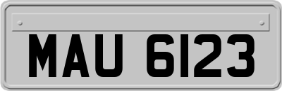MAU6123
