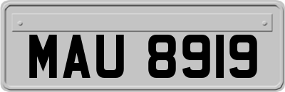 MAU8919