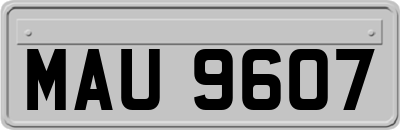 MAU9607