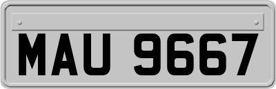 MAU9667
