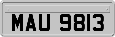 MAU9813
