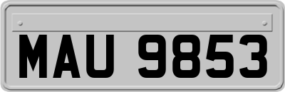 MAU9853
