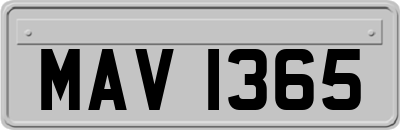 MAV1365