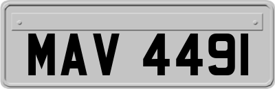 MAV4491