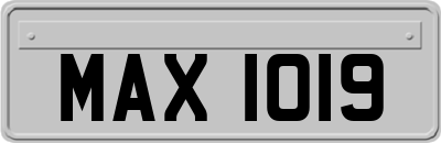 MAX1019