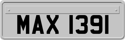 MAX1391