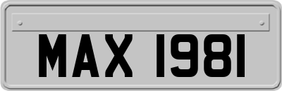 MAX1981
