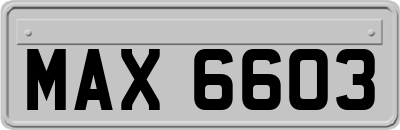 MAX6603