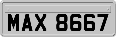 MAX8667