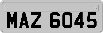 MAZ6045