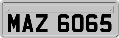 MAZ6065