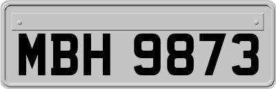 MBH9873