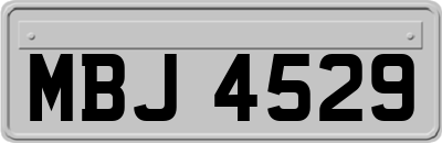 MBJ4529