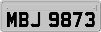 MBJ9873