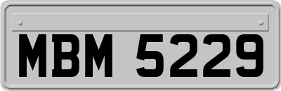 MBM5229
