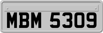 MBM5309