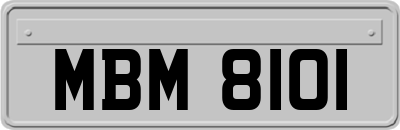 MBM8101