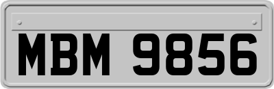 MBM9856